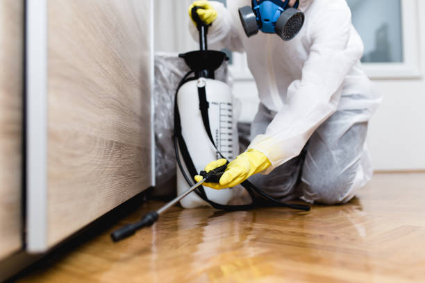 Best Affordable Pest Control Services  in Glenvar Heights, FL