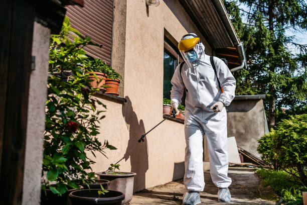 Trusted Glenvar Heights, FL Pest Control Experts