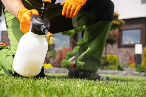 Best Residential Pest Control  in Glenvar Heights, FL