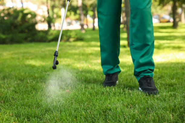 Best Exterminator Services  in Glenvar Heights, FL