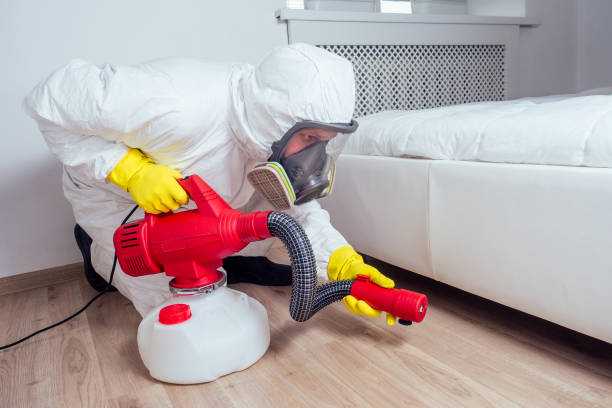 Best Pest Removal Services  in Glenvar Heights, FL