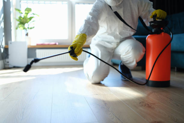 Best Wasp Removal Services  in Glenvar Heights, FL