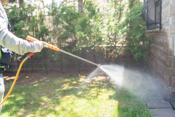 Bird Control in Glenvar Heights, FL