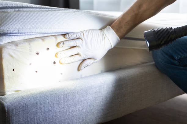 Best Pest Control Near Me  in Glenvar Heights, FL
