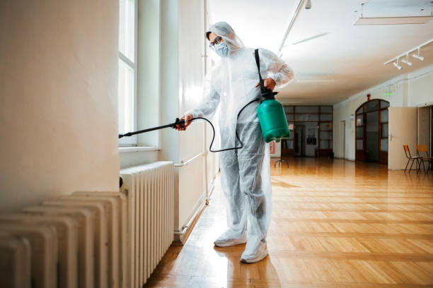 Best Wasp Removal Services  in Glenvar Heights, FL