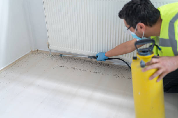 Reliable Glenvar Heights, FL Pest Control Solutions